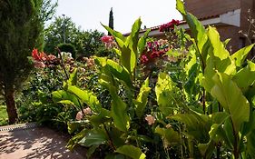 Villa Marín Toledo